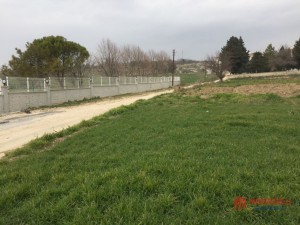 cfcd208495 (1).jpg